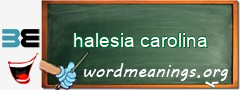 WordMeaning blackboard for halesia carolina